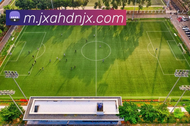 数据防护可视化